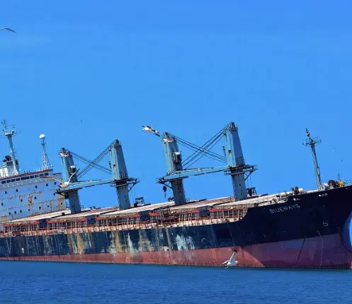 Bruce Shipwreck